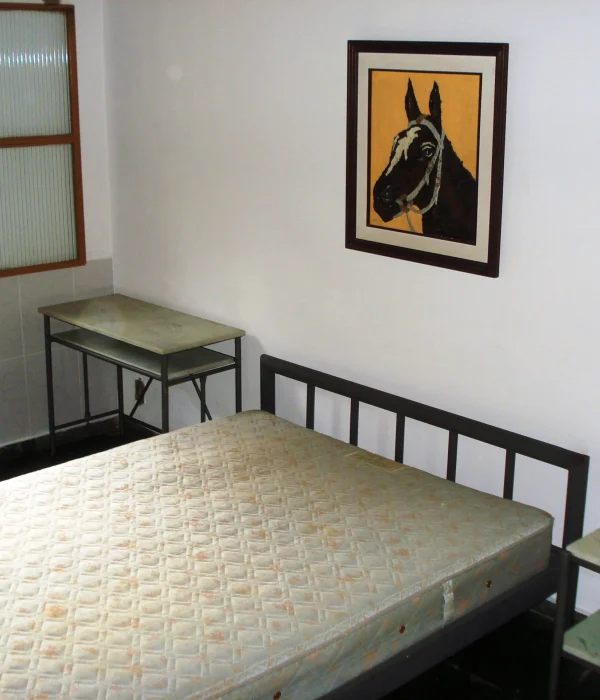 suite green peace 005